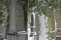 Židovský hřbitov